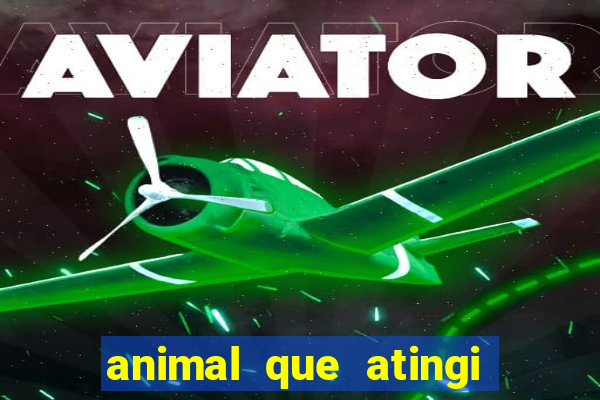 animal que atingi 230 decibeis